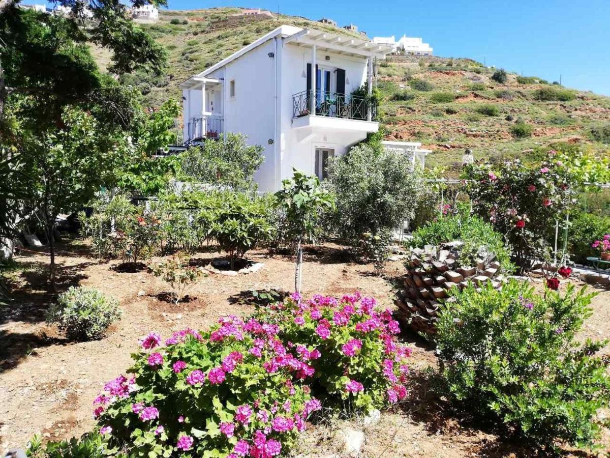 Kypri Apartments Kipri  Dış mekan fotoğraf